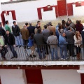 Sorteo toros viernes