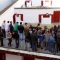 Sorteo toros viernes