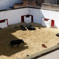 Sorteo toros viernes