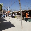 Castellón, Magdalena 2012