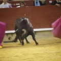 Castellón, Toros Magdalena 2012