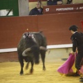 Castellón, Toros Magdalena 2012