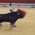 Castellón, Toros Magdalena 2012