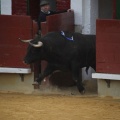 Castellón, Toros Magdalena 2012