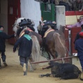 Castellón, Toros Magdalena 2012