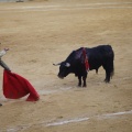 Castellón, Toros Magdalena 2012