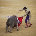 Castellón, Toros Magdalena 2012