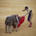 Castellón, Toros Magdalena 2012