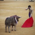 Castellón, Toros Magdalena 2012