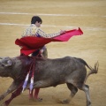 Castellón, Toros Magdalena 2012