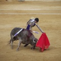 Castellón, Toros Magdalena 2012