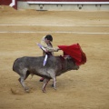 Castellón, Toros Magdalena 2012