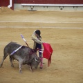 Castellón, Toros Magdalena 2012