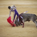 Castellón, Toros Magdalena 2012