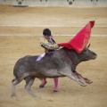 Castellón, Toros Magdalena 2012