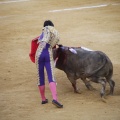 Castellón, Toros Magdalena 2012