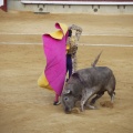 Castellón, Toros Magdalena 2012