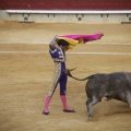 Castellón, Toros Magdalena 2012