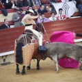 Castellón, Toros Magdalena 2012