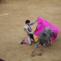 Castellón, Toros Magdalena 2012