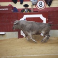 Castellón, Toros Magdalena 2012