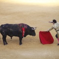 Castellón, Toros Magdalena 2012
