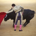 Castellón, Toros Magdalena 2012