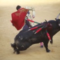 Castellón, Toros Magdalena 2012