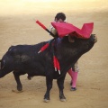 Castellón, Toros Magdalena 2012