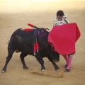 Castellón, Toros Magdalena 2012