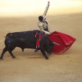 Castellón, Toros Magdalena 2012