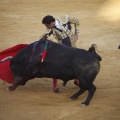 Castellón, Toros Magdalena 2012