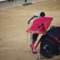 Castellón, Toros Magdalena 2012