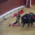 Castellón, Toros Magdalena 2012
