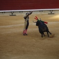 Castellón, Toros Magdalena 2012