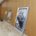 Castellón, Magadalena 2012
