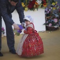 Castellón, Fallas Burriana 2012