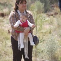 Castellón, nace un niño, nace un árbol