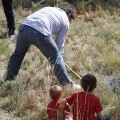 Castellón, nace un niño, nace un árbol