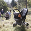 Castellón, nace un niño, nace un árbol