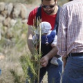 Castellón, nace un niño, nace un árbol