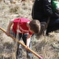 Castellón, nace un niño, nace un árbol