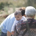 Castellón, nace un niño, nace un árbol