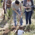 Castellón, nace un niño, nace un árbol