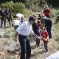 Castellón, nace un niño, nace un árbol