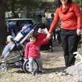 Castellón, nace un niño, nace un árbol