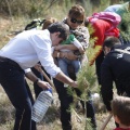 Castellón, nace un niño, nace un árbol