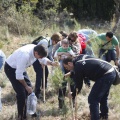 Castellón, nace un niño, nace un árbol