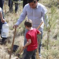 Castellón, nace un niño, nace un árbol