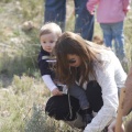 Castellón, nace un niño, nace un árbol